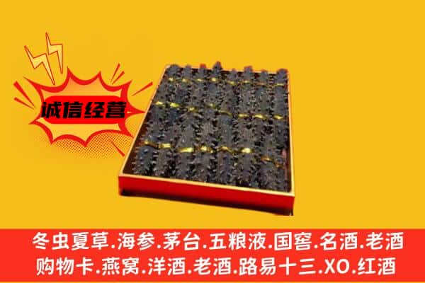 甘孜州理塘回收海参